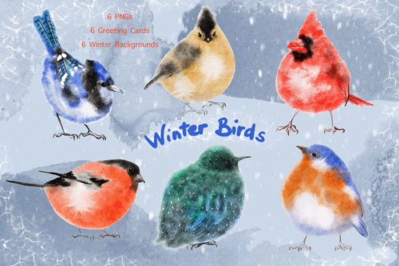 Watercolor Winter Birds Full Collection: A Creative Resource for Design Enthusiasts